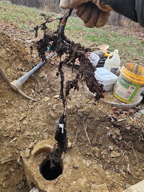 A person wearing gloves holds up muddy, tangled roots over a dug hole. Nearby, a shovel, containers, and bottles are on the ground amidst loose dirt and scattered leaves. The scene suggests involvement in septic work or preparation for Sam's Backhoe & Septic Repairs services.